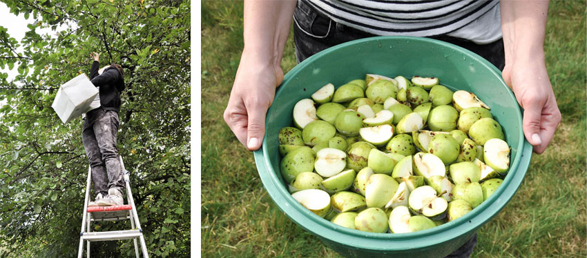 2014_01_cider_inpost_1