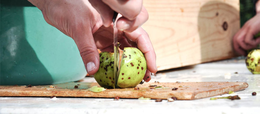2014_01_cider_inpost_2