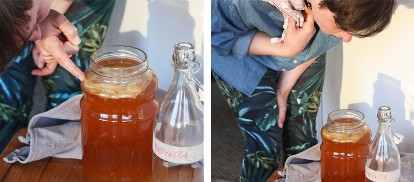 2014_04_Kombucha_2