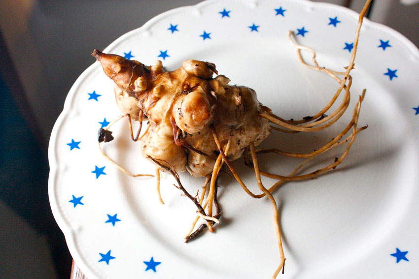 aardpeer